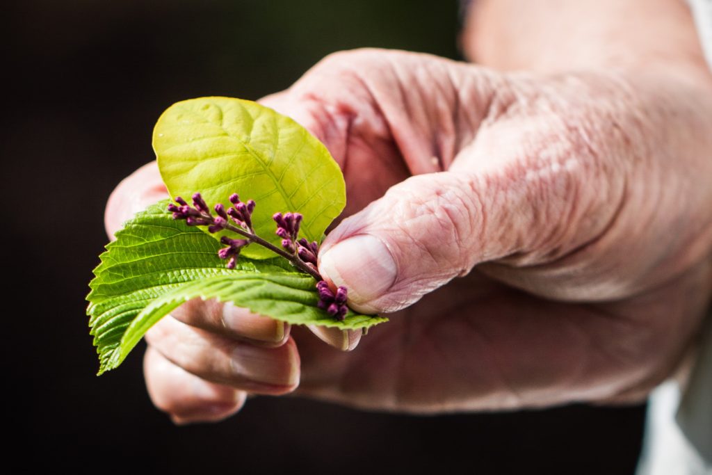 An elderly person holding a flower